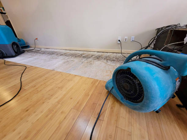 Professional Burst Pipe Water Damage technician working in New Market, MD
